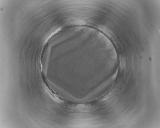 X0000070400390200607072249