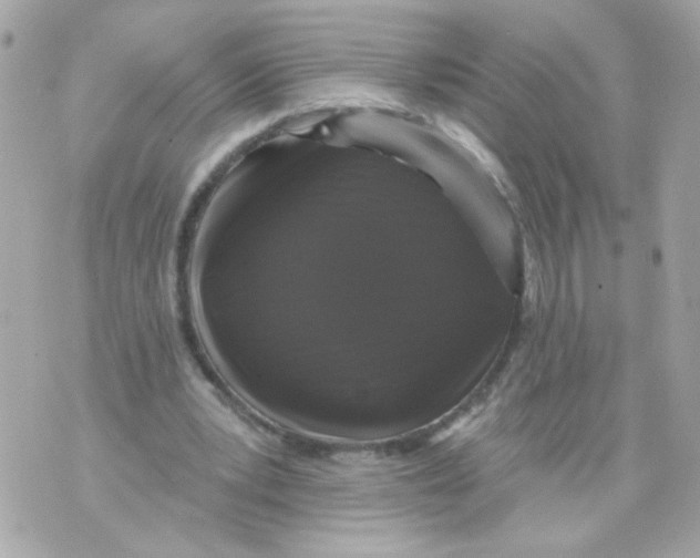 X0000070400391200607072249