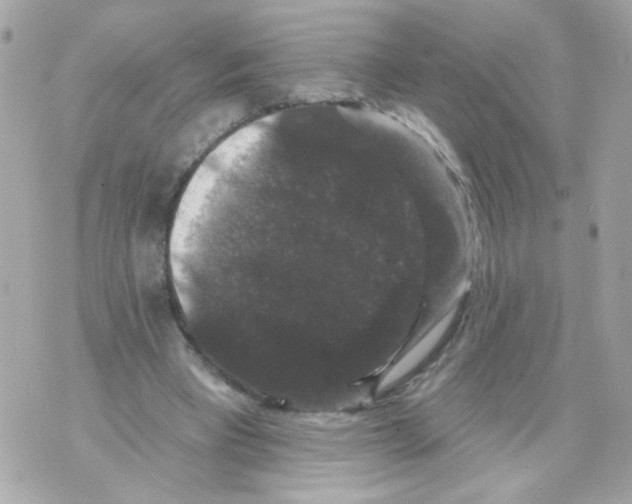 X0000070400393200607072249