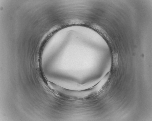 X0000070400395200607072249