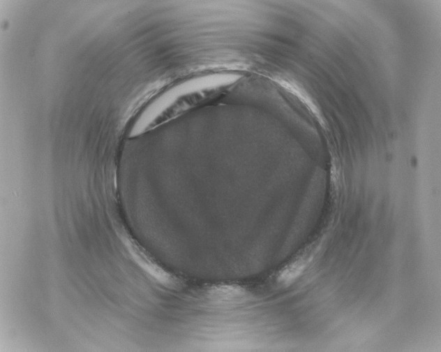 X0000070400397200607072249