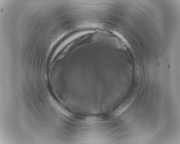 X0000070400399200607072249