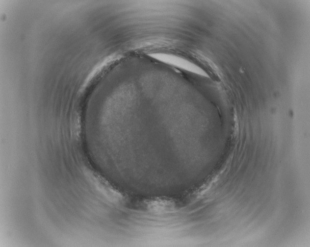 X0000070400400200607072249