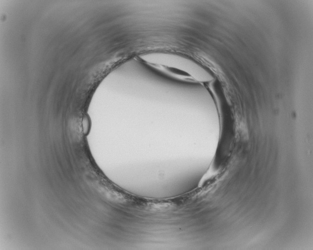 X0000070400401200607072249