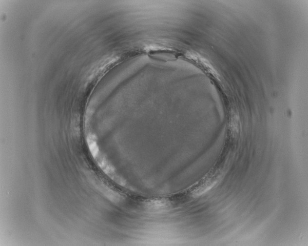 X0000070400402200607072249