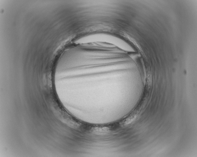 X0000070400403200607072249