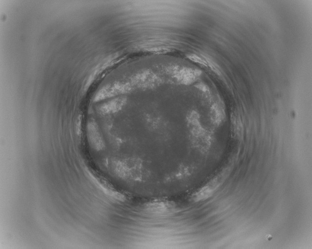 X0000070400404200607072249