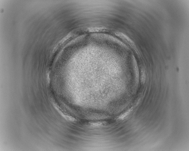 X0000070400405200607072249