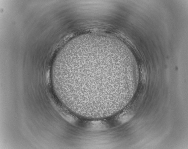 X0000070400406200607072249