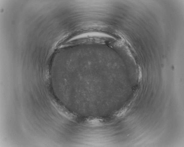 X0000070400407200607072249