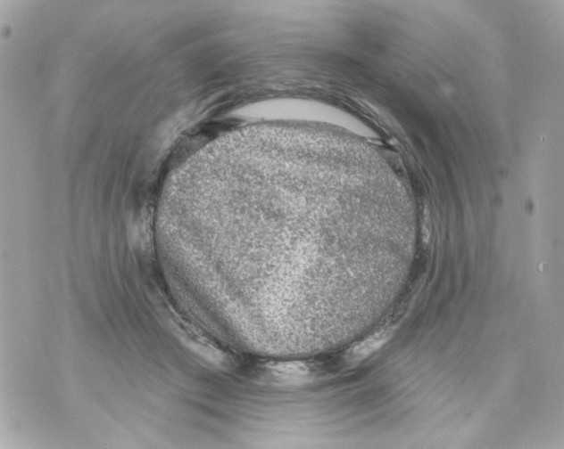 X0000070400409200607072249