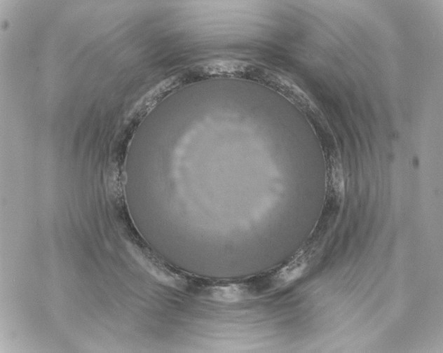 X0000070400411200607072249