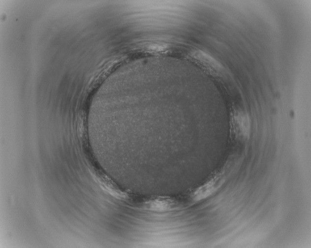 X0000070400412200607072249