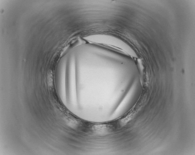 X0000070400413200607072249