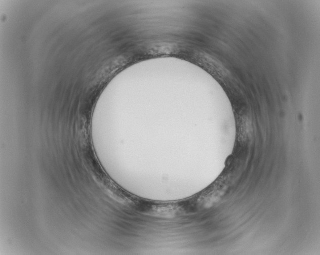 X0000070400414200607072249