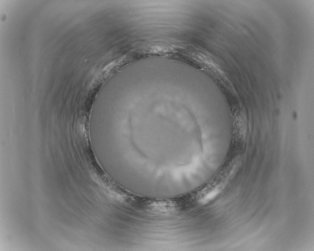 X0000070400415200607072249