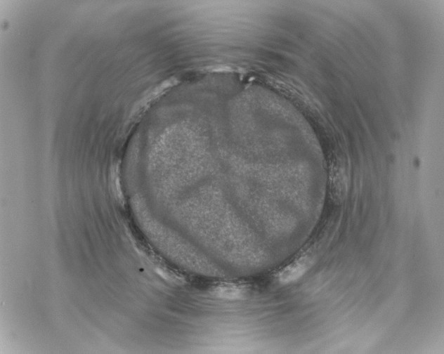 X0000070400416200607072249