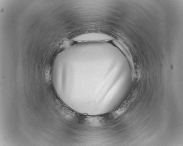 X0000070400417200607072249