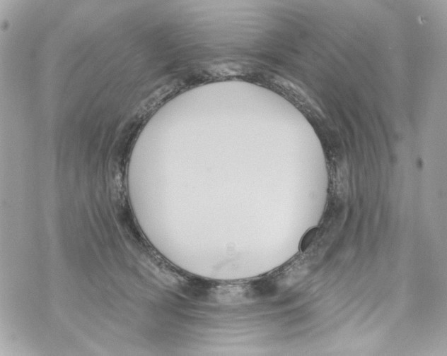 X0000070400418200607072249