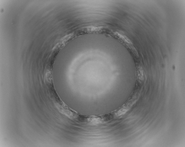 X0000070400419200607072249