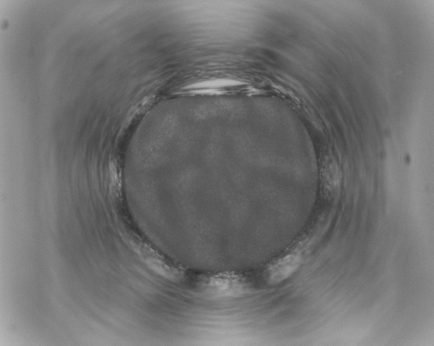 X0000070400420200607072249