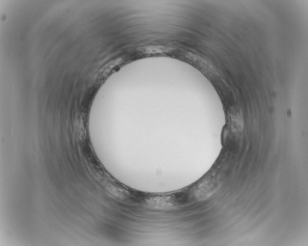 X0000070400422200607072249