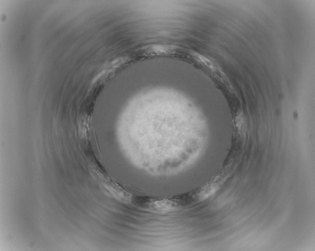 X0000070400423200607072249