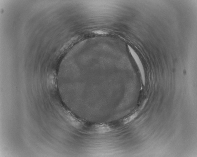 X0000070400424200607072249