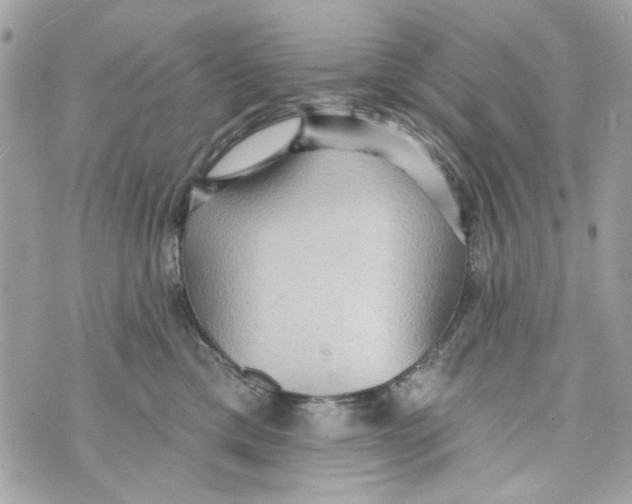 X0000070400425200607072249