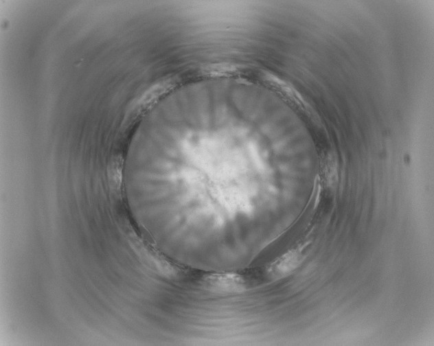 X0000070400427200607072249