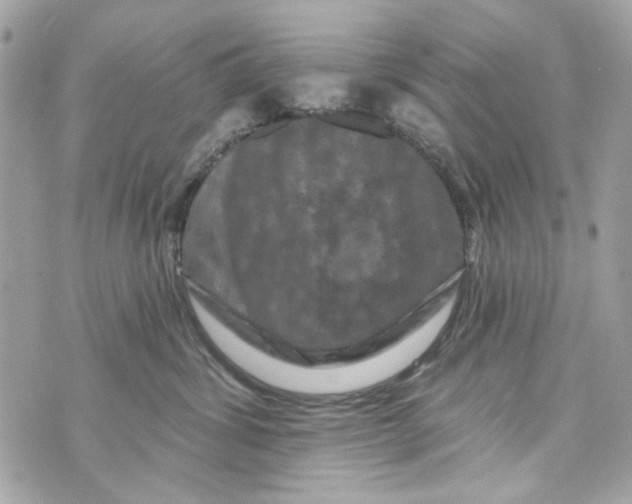 X0000070400428200607072249