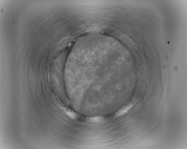 X0000070400432200607072249