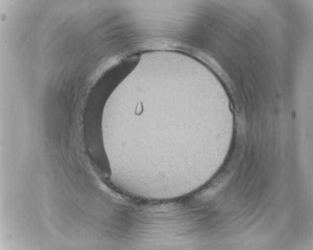 X0000070400433200607072248