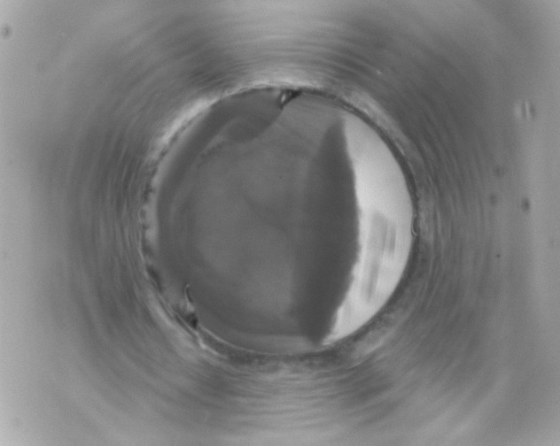 X0000070400434200607072248