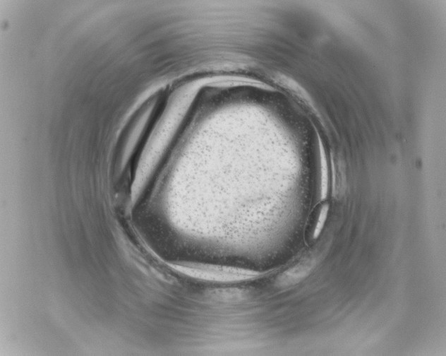 X0000070400435200607072248