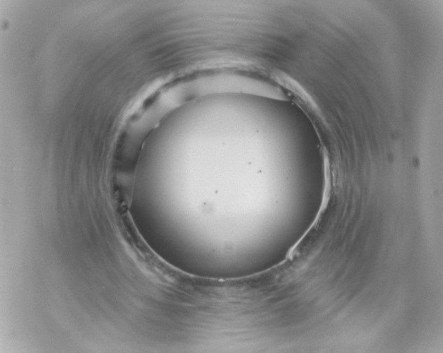 X0000070400436200607072248