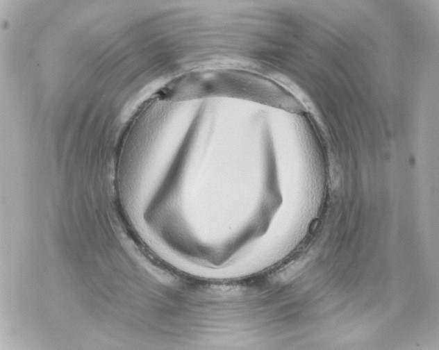 X0000070400437200607072248