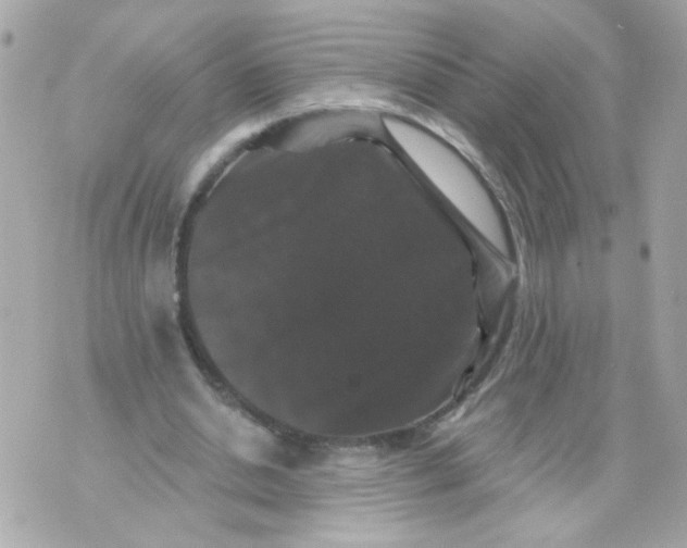 X0000070400438200607072248