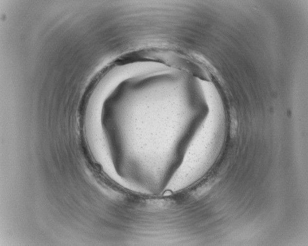 X0000070400439200607072248