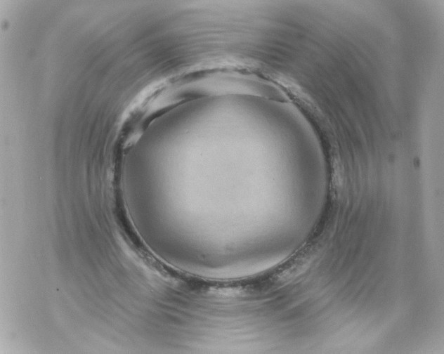 X0000070400440200607072248