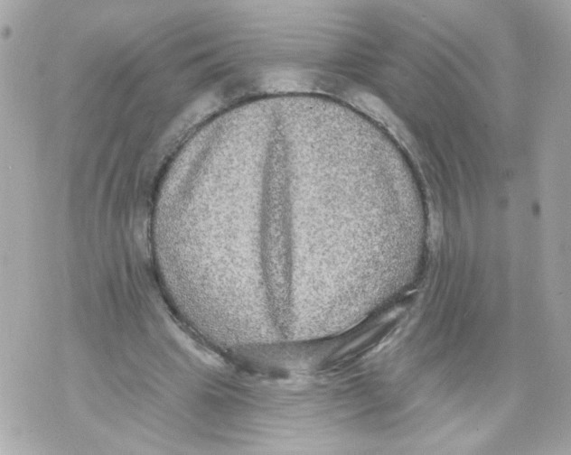 X0000070400441200607072248