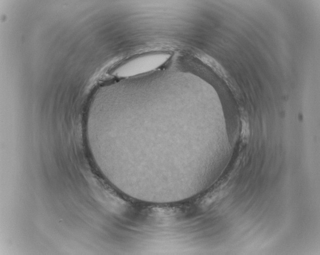 X0000070400442200607072248