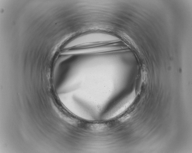 X0000070400444200607072248