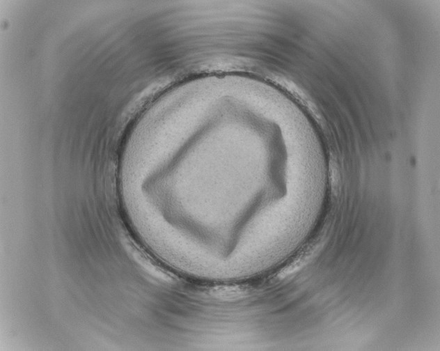 X0000070400445200607072248