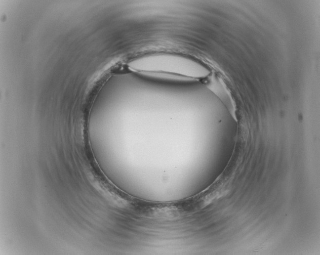 X0000070400446200607072248