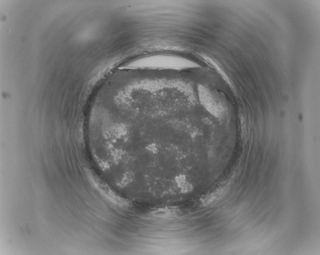 X0000070400447200607072248