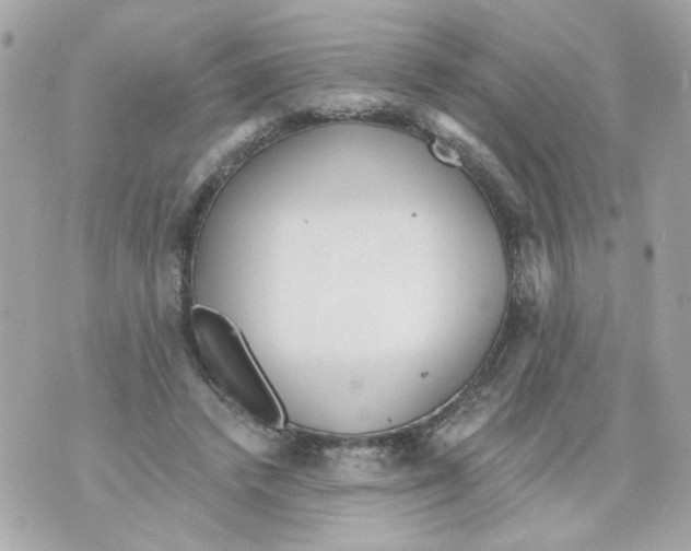 X0000070400448200607072248