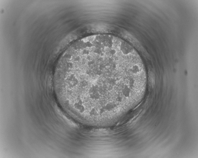 X0000070400449200607072248