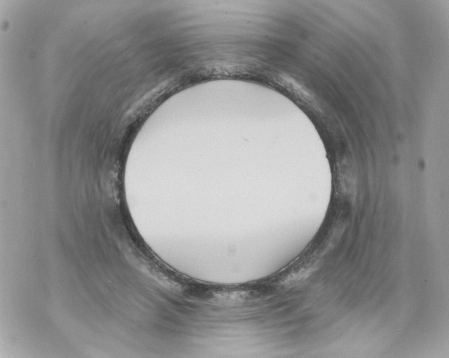 X0000070400450200607072248