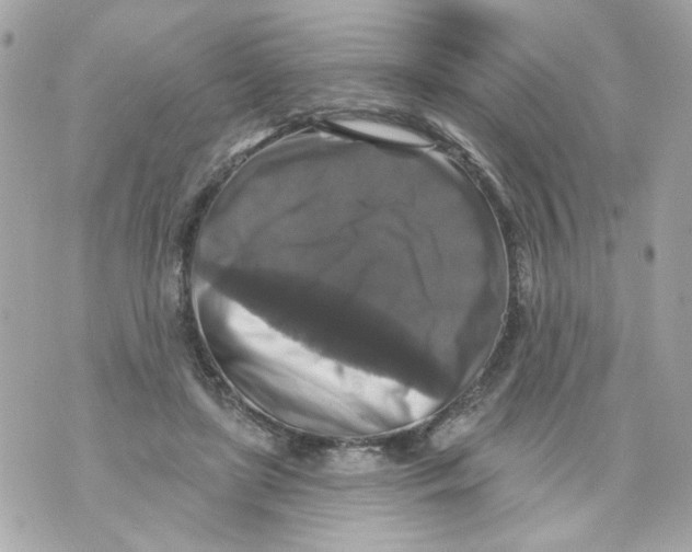 X0000070400451200607072248